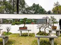 百花潭公園...청두