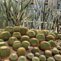 【中国/アモイ園林植物園】