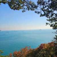 【釜山】這裡擁有多條海岸步道，能夠欣賞南海的壯闊景色。