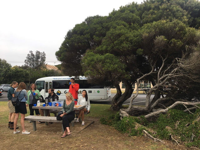 An Unforgettable Journey on the Great Ocean Road