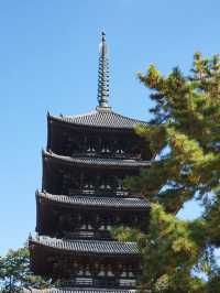 大阪行程｜周邊一日遊｜興福寺與東大寺