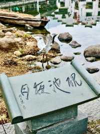 Discover the Historical Heritage: Your Ultimate Travel Guide to Longmen Ancient Town!