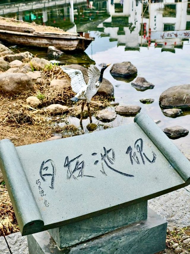 Discover the Historical Heritage: Your Ultimate Travel Guide to Longmen Ancient Town!