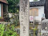 嵐山：美景、美食、輕鬆一日遊！