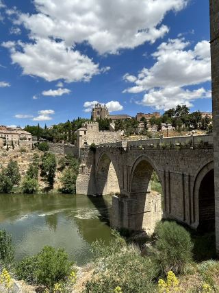 Toledo beauty 