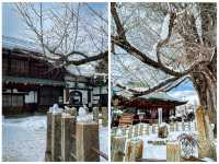【岐阜】子宝安産祈願のパワースポット⛩️