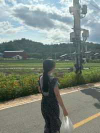 진도여행