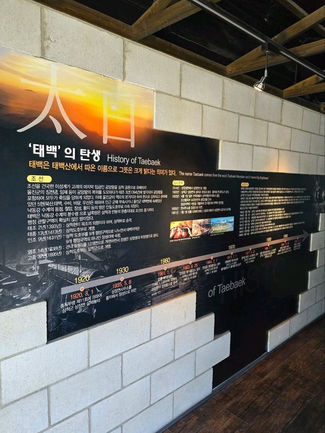 탄광과 광부들의 과거를 엿보는 태백여행지🪨
