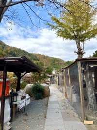 【山梨県】具だくさん最強のほうとう