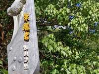 不平凡的親山步道軍艦岩、丹鳳山連走