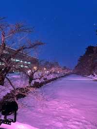 雪降る弘前城、冬の特権雪桜ライトアップ✨