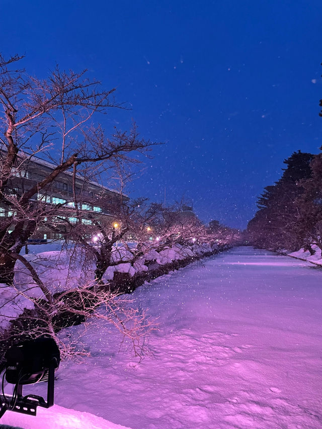 雪降る弘前城、冬の特権雪桜ライトアップ✨