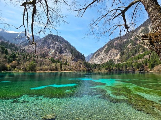 Step into a fairy tale at Jiuzhaigou!