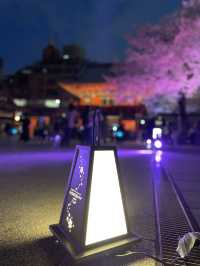 【東京×神田明神の桜】  