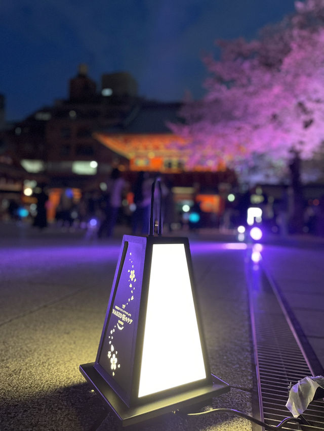 【東京×神田明神の桜】  