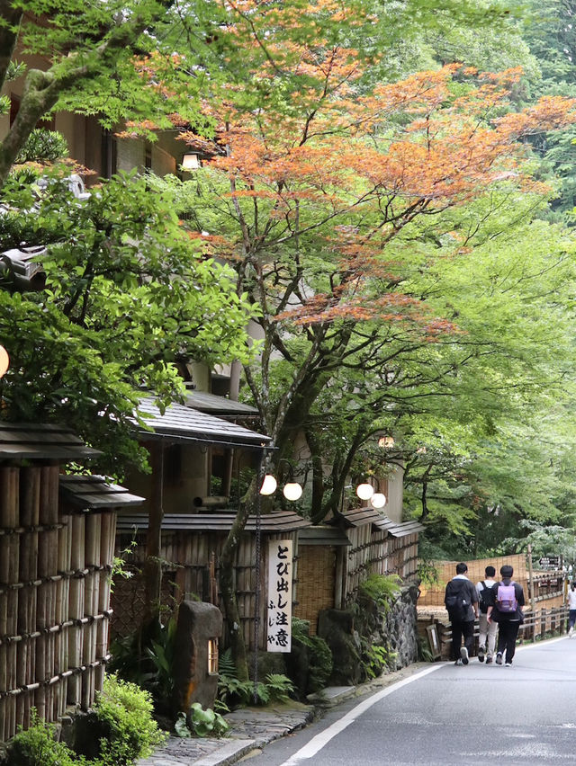 Sip and Unwind: A Tranquil Drink at Hyoue Café, Mount Kibune