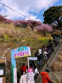 春日嵯峨山苑遊記 帶來心中的悸動💗