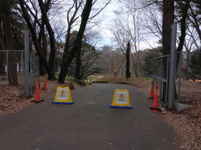 Kinuta Park (砧公園)  Kinuta Park (砧公園)