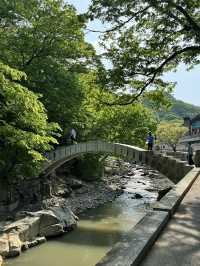 부산 근교 양산 통도사 여행일정! 