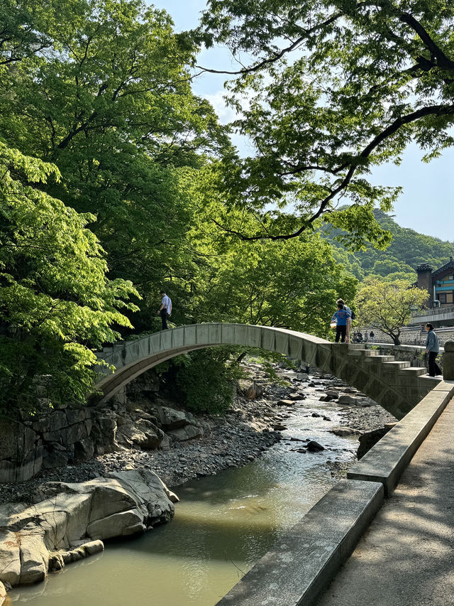 부산 근교 양산 통도사 여행일정! 