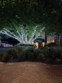 48 Hours In Rotorua, Lakeside Bliss In New Zealand. Retirement Vibes! 