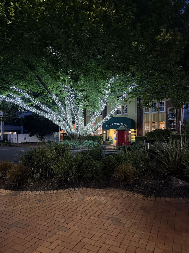 48 Hours In Rotorua, Lakeside Bliss In New Zealand. Retirement Vibes! 