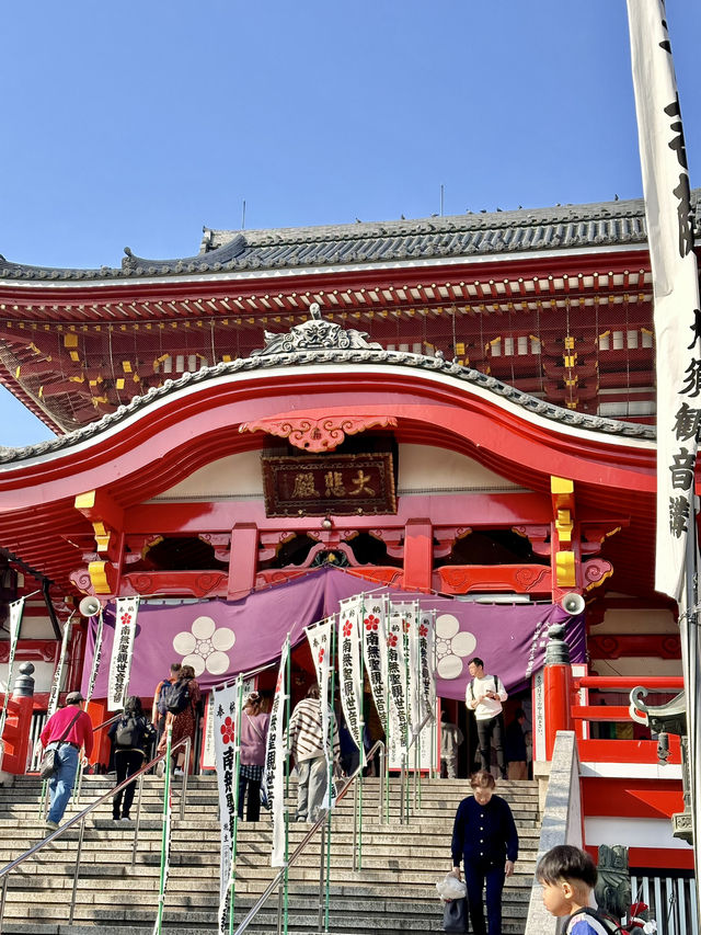 🇯🇵名古屋櫻花配上紅紅的寺廟🌸