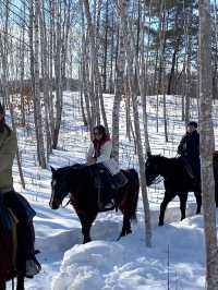 北海道旭川必體驗🐎夢幻雪地行程（老少咸宜）
