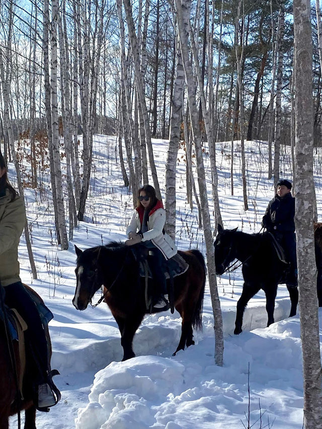 北海道旭川必體驗🐎夢幻雪地行程（老少咸宜）
