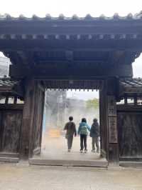 探索鎌倉長谷寺🌿 觀音菩薩與弁天窟的神秘魅力