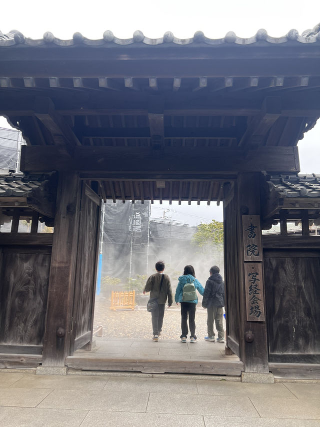 探索鎌倉長谷寺🌿 觀音菩薩與弁天窟的神秘魅力