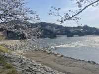 【錦帯橋】