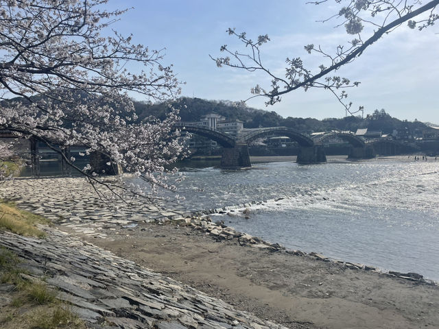 【錦帯橋】