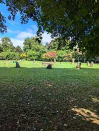 Bute Park