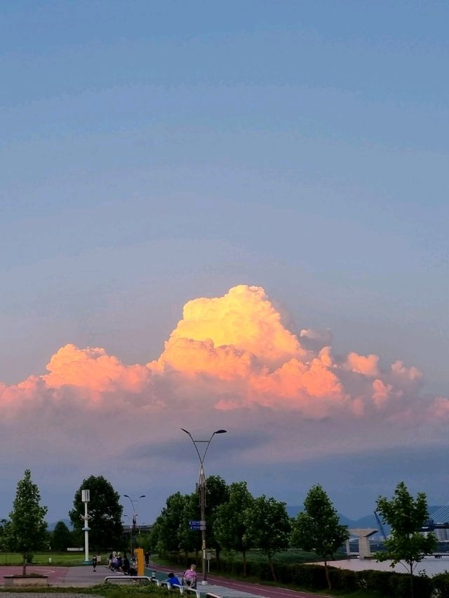 강아지와 산책하며 힐링하기 좋은 한적한 한강공원🏞