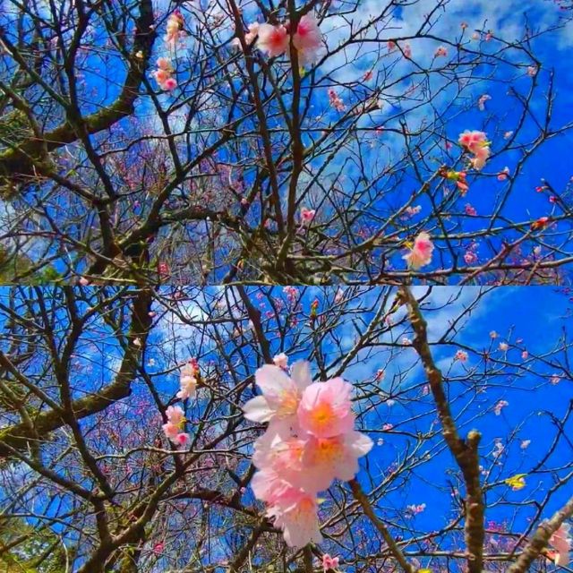 沖繩