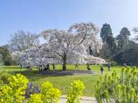 Cambridge University Botanic Garden 