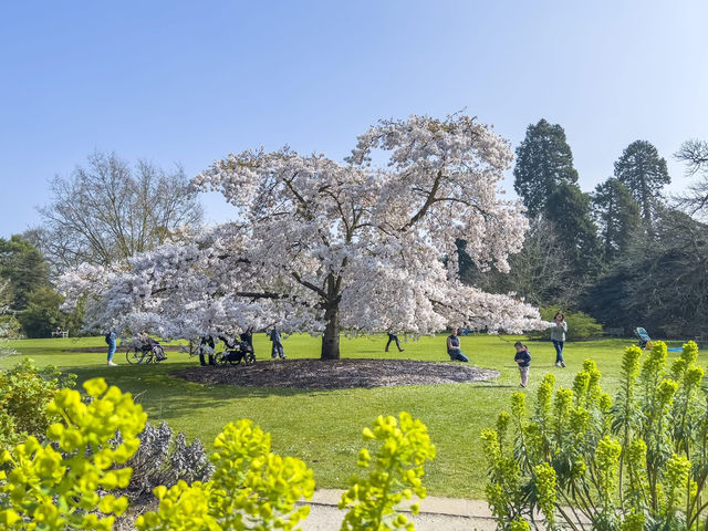 Cambridge University Botanic Garden 