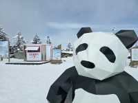 Xiling Snow Mountain❄️⛄️🎿🏂