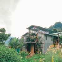 Mori Natural Farm โมริ เนเชอรัลฟาร์ม เชียงใหม่ 🏮🛖