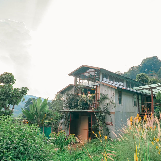 Mori Natural Farm โมริ เนเชอรัลฟาร์ม เชียงใหม่ 🏮🛖