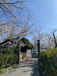 知多四国霊場巡り　第20番礼所　龍台院