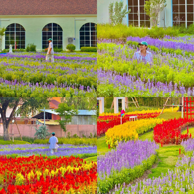 คาเฟ่สวนดอกไม้ มู้ดดีต่อใจสุดๆ 🤍🌸🌷