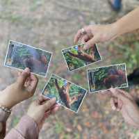 Play tourist in Sarawak! 