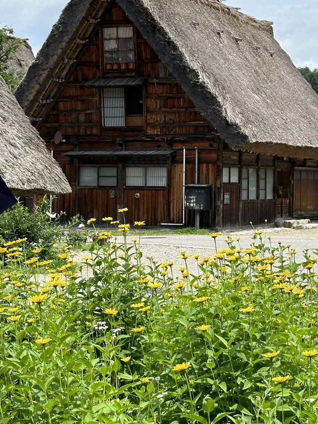 まるで昔話の世界！白川郷で四季の絶景タイムスリップ体験