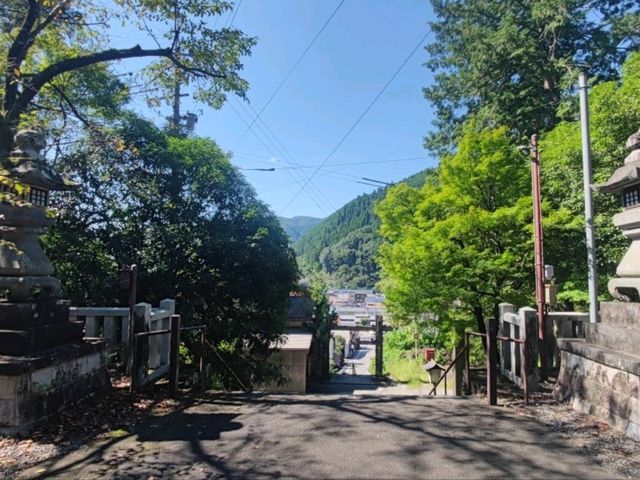 #悟竹院-日本歧阜縣