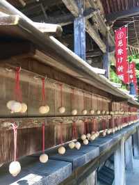 Spring Outing to Okadera Temple