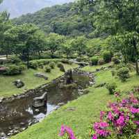 【陽明山国家公園｜花時計】静けさと彩りに包まれた午後 