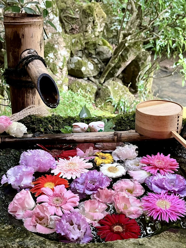 Spring Outing to Yanagidani Kannon Yōkoku-ji