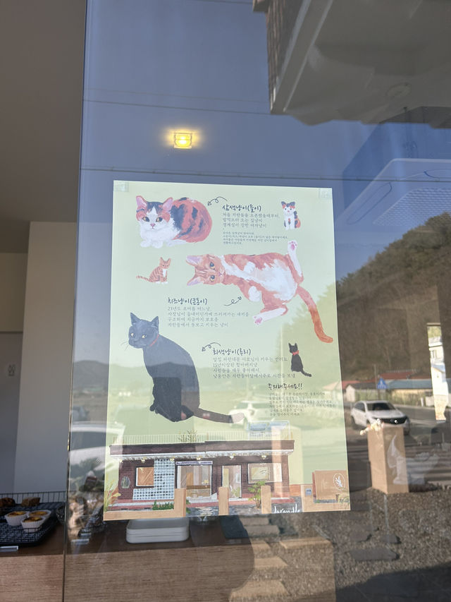경남 고성 귀여운 냥이들이 있는 자란들카페 🐈🐈‍⬛